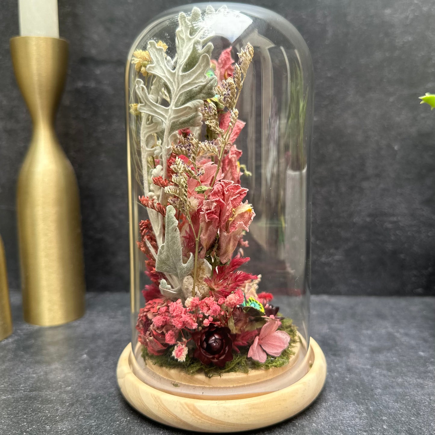 Rothschild Birdwing Butterfly & Aura Quartz Terrarium