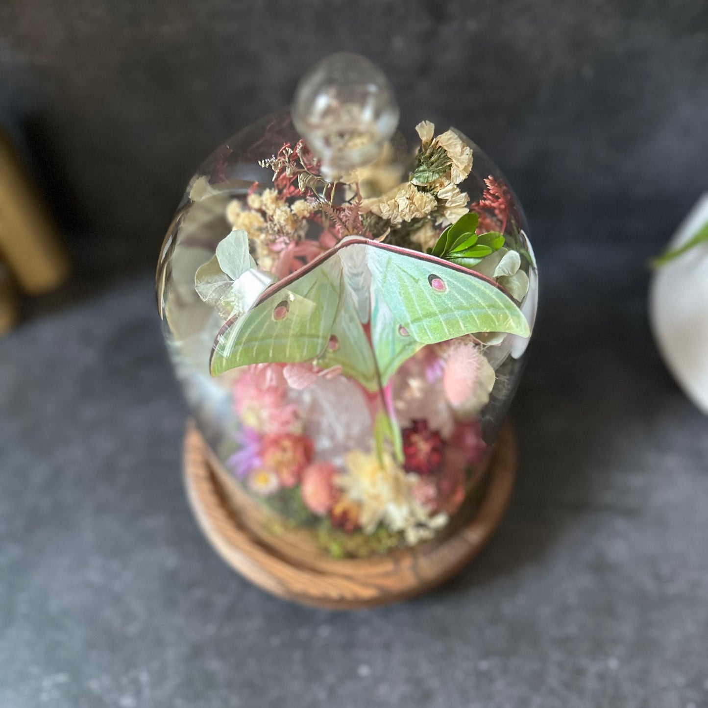 Moon Moth & Rose Quartz Terrarium