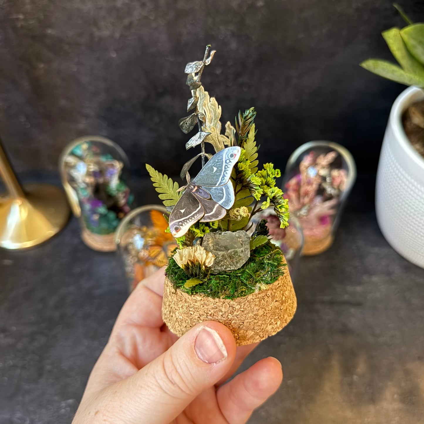 Mini Calleta Moth & Crystal Quartz Terrarium