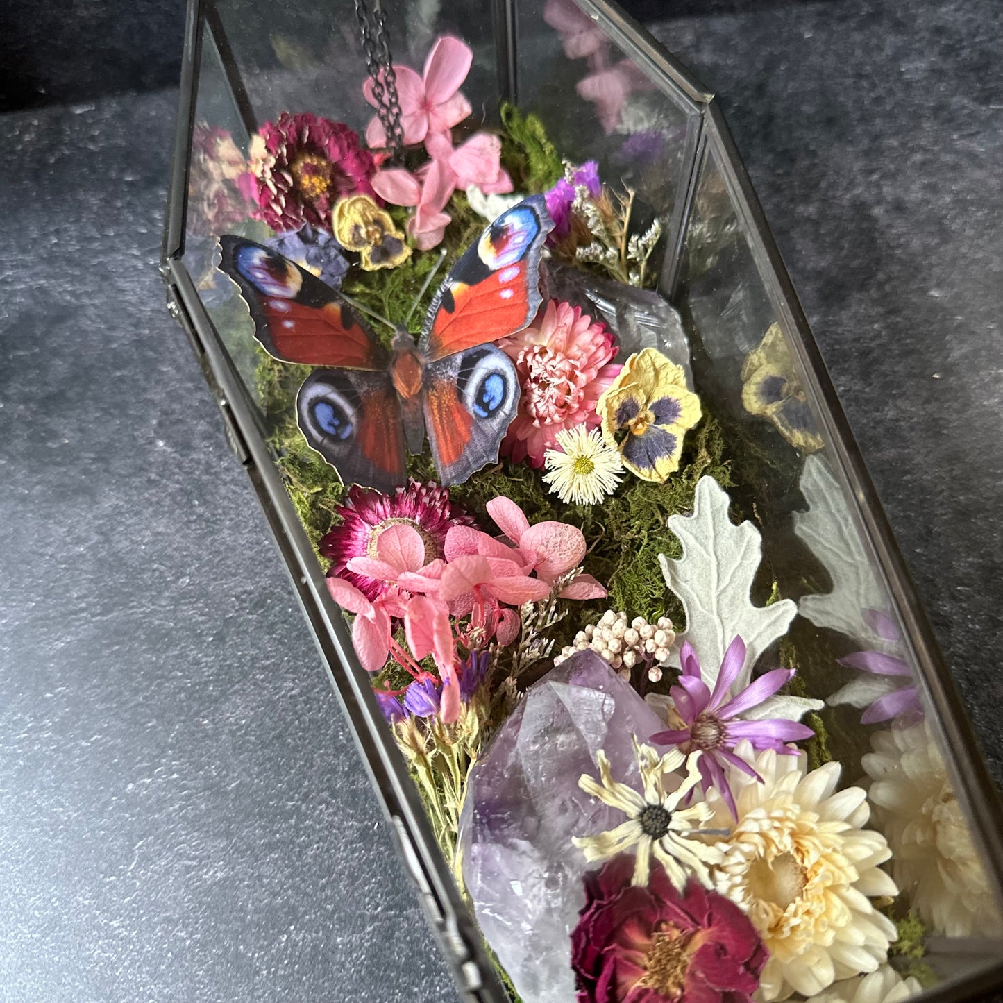 Peacock Butterfly & Amethyst Coffin Terrarium