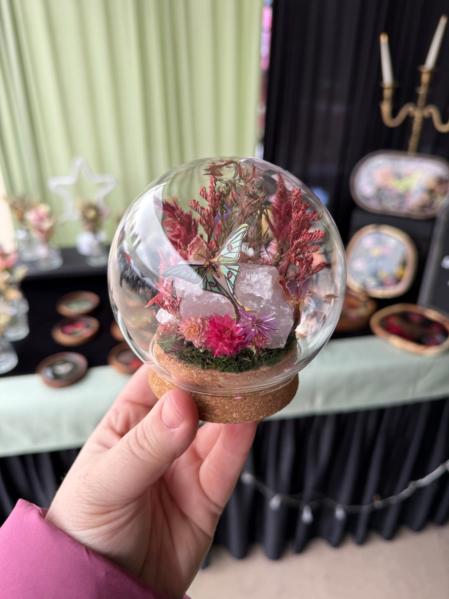 Rose Quartz Crystal Terrarium