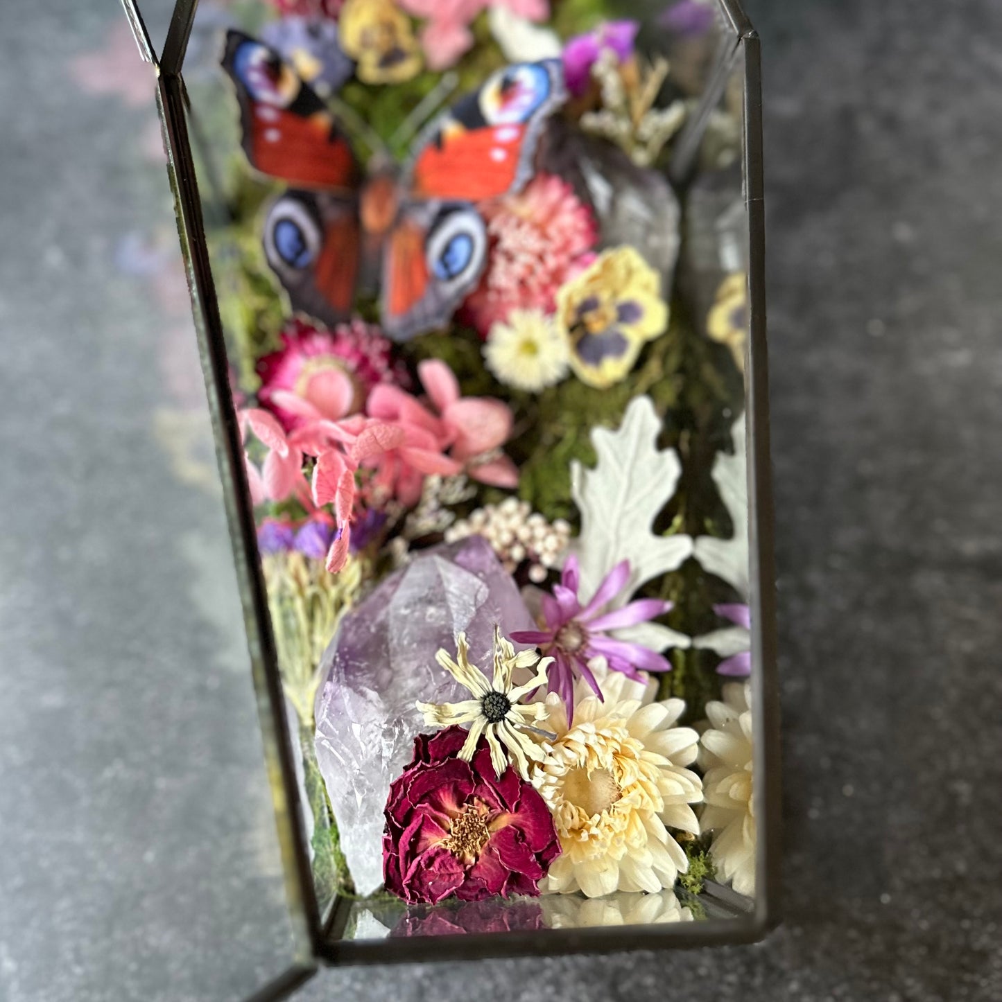 Peacock Butterfly & Amethyst Coffin Terrarium