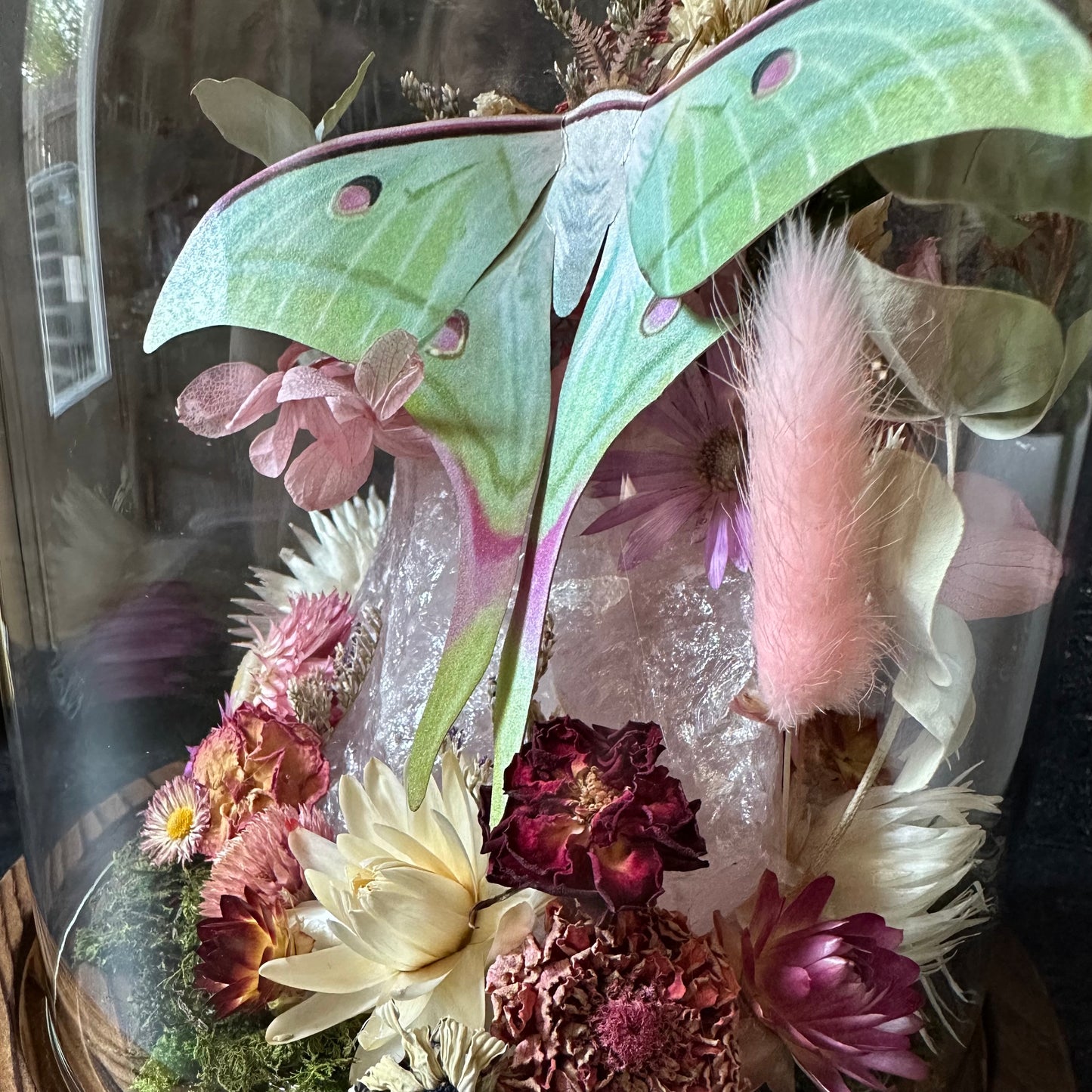 Moon Moth & Rose Quartz Terrarium