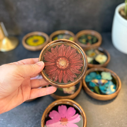 Mini Red African Daisy Bowl/Coaster