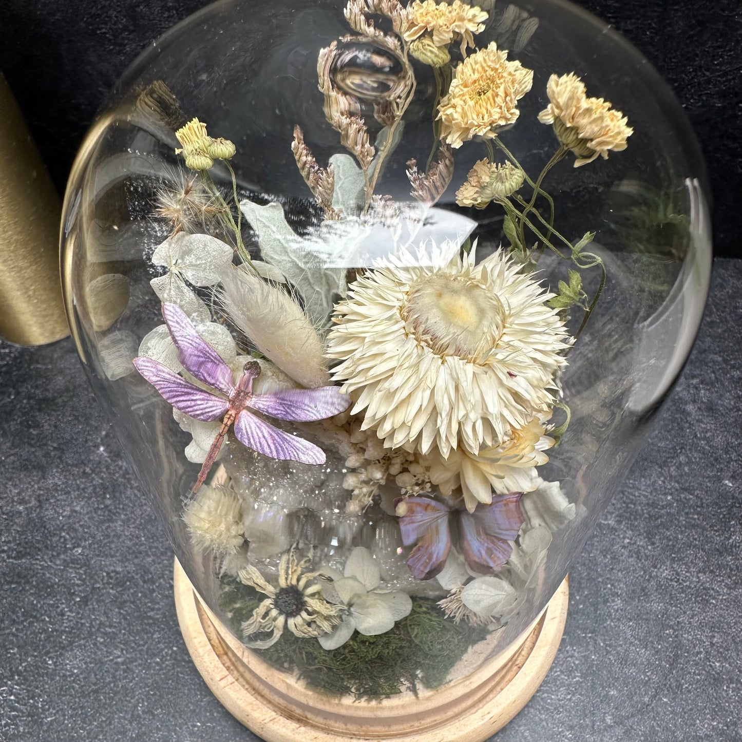 Dragonfly, Pearl Morpho Butterfly & Aura Quartz Terrarium