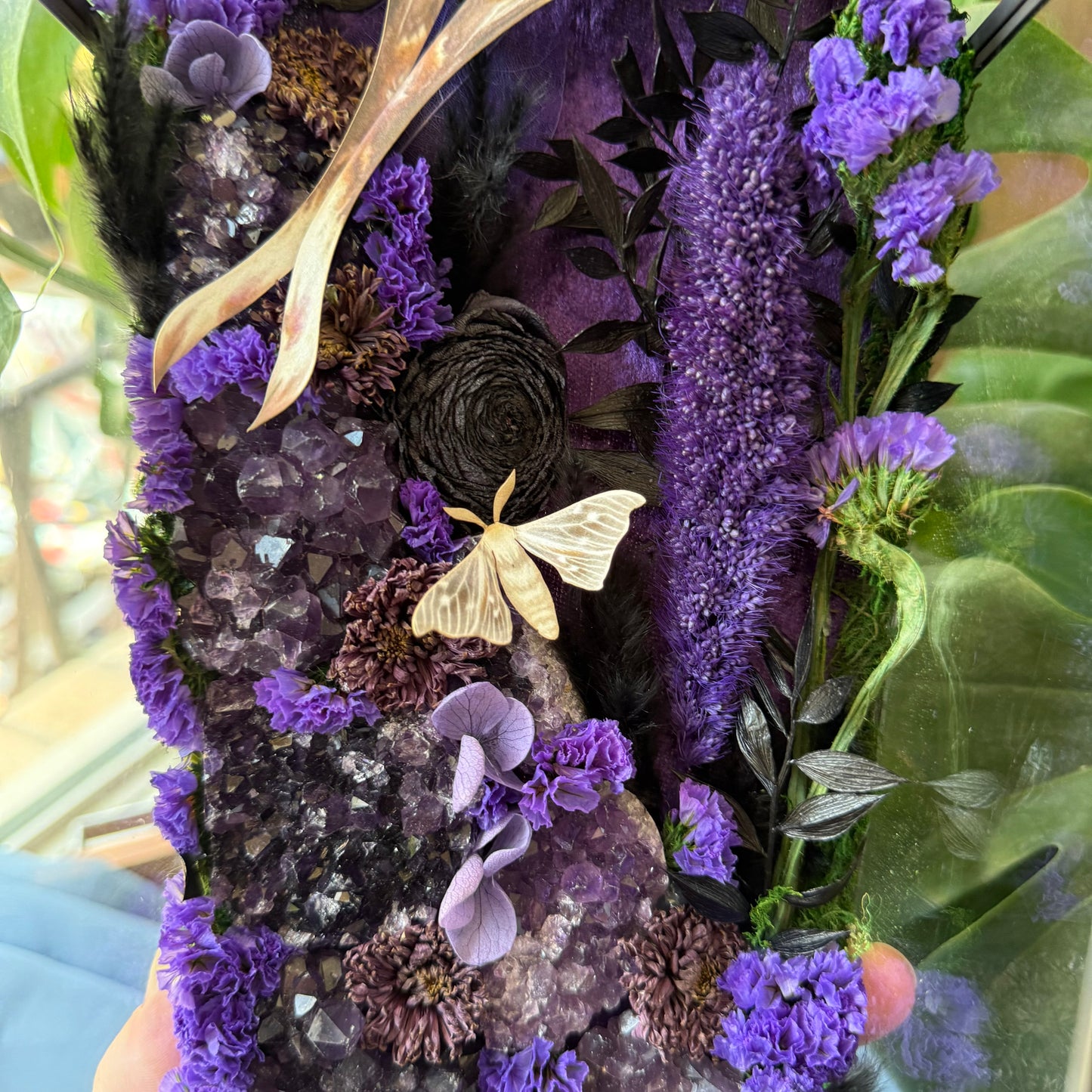 ✨The Amethyst Hollow✨