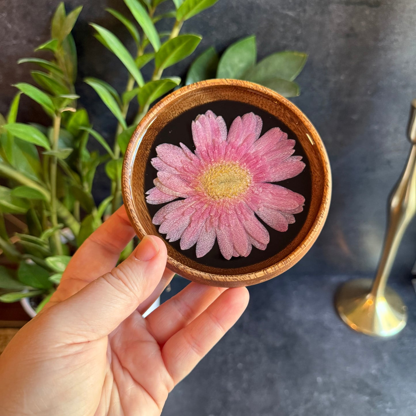 African Daisy Mini Bowl/Coaster