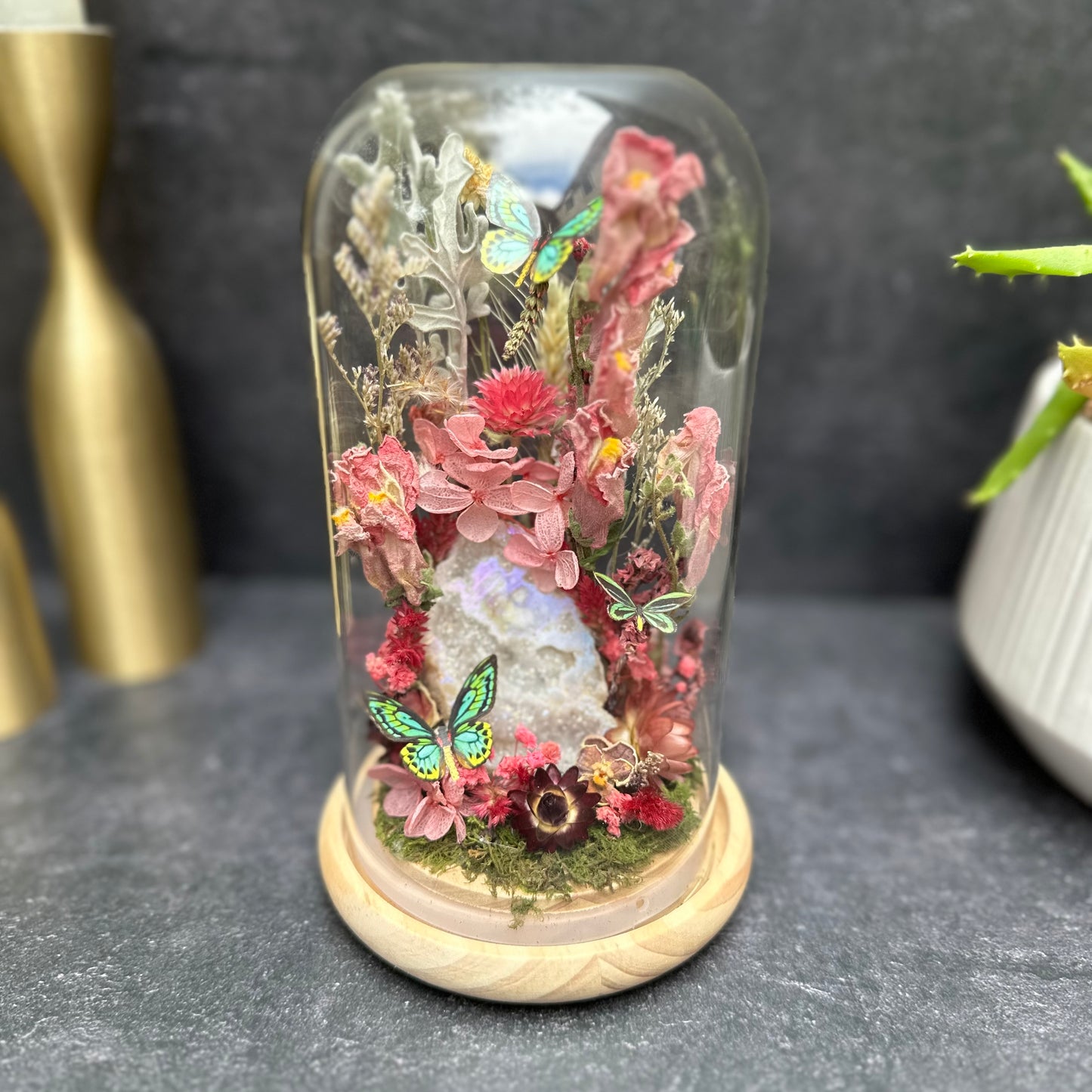 Rothschild Birdwing Butterfly & Aura Quartz Terrarium