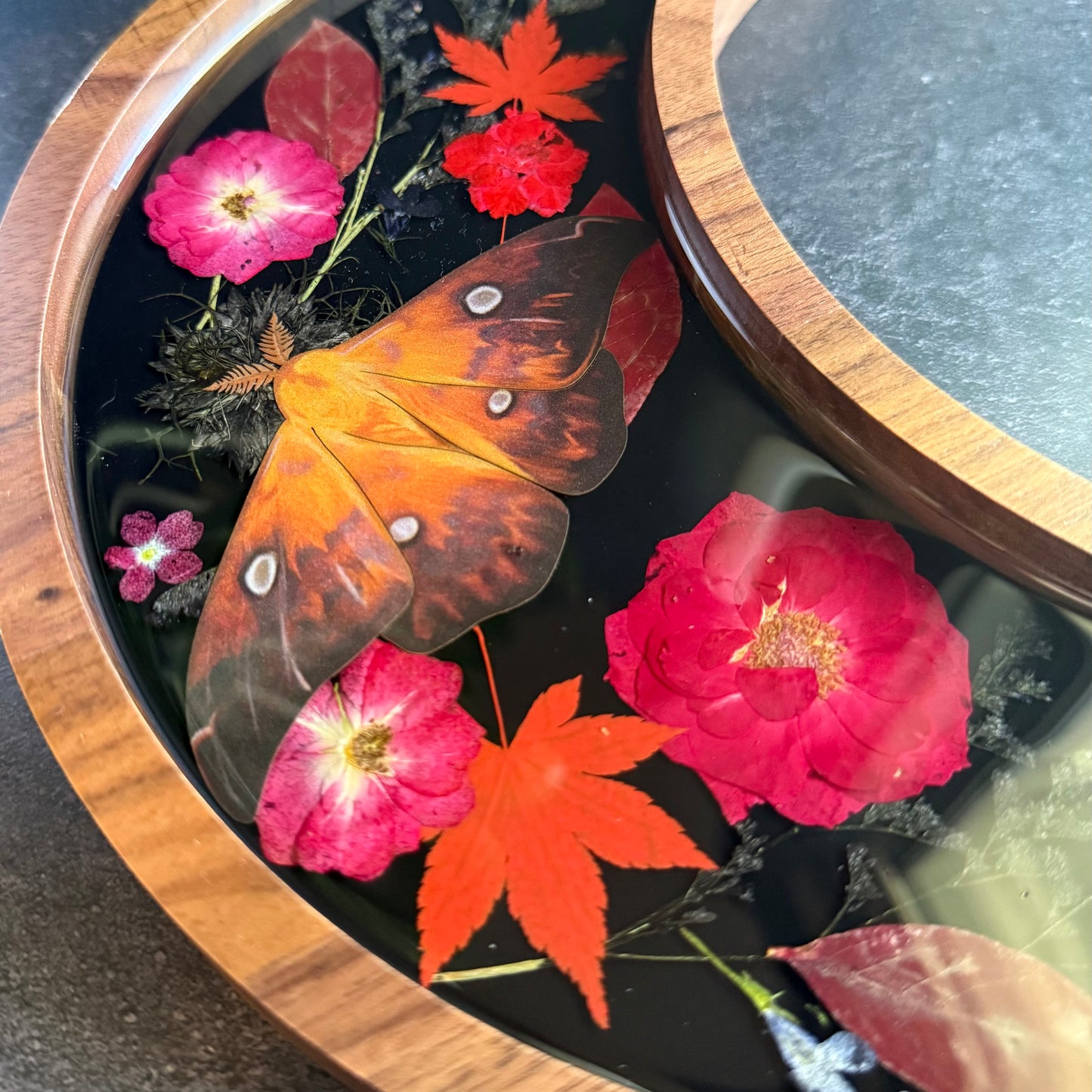 Crescent Moon Fire Moth Tray