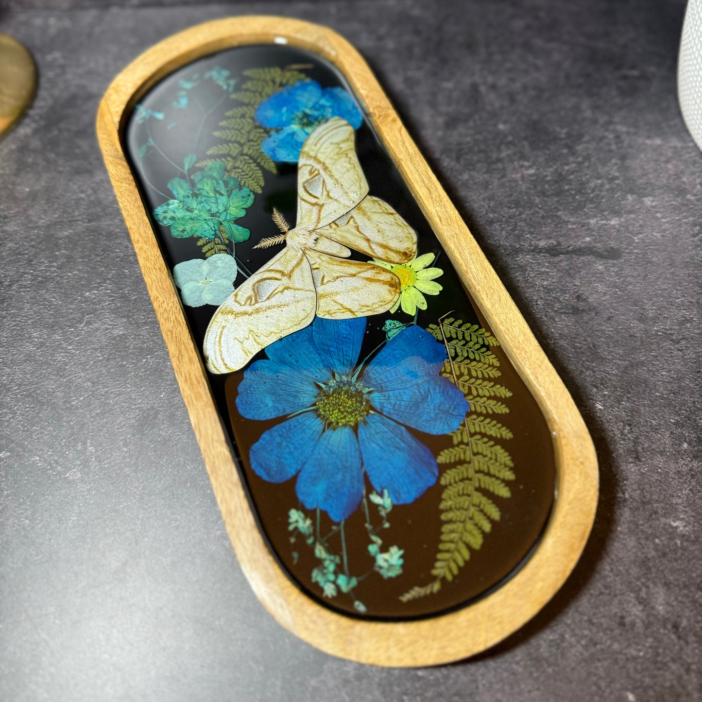 Attacus Moth Dreams Tray