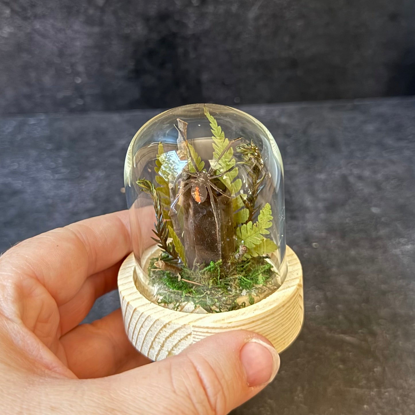 Mini Black Widow & Smoky Quartz Terrarium