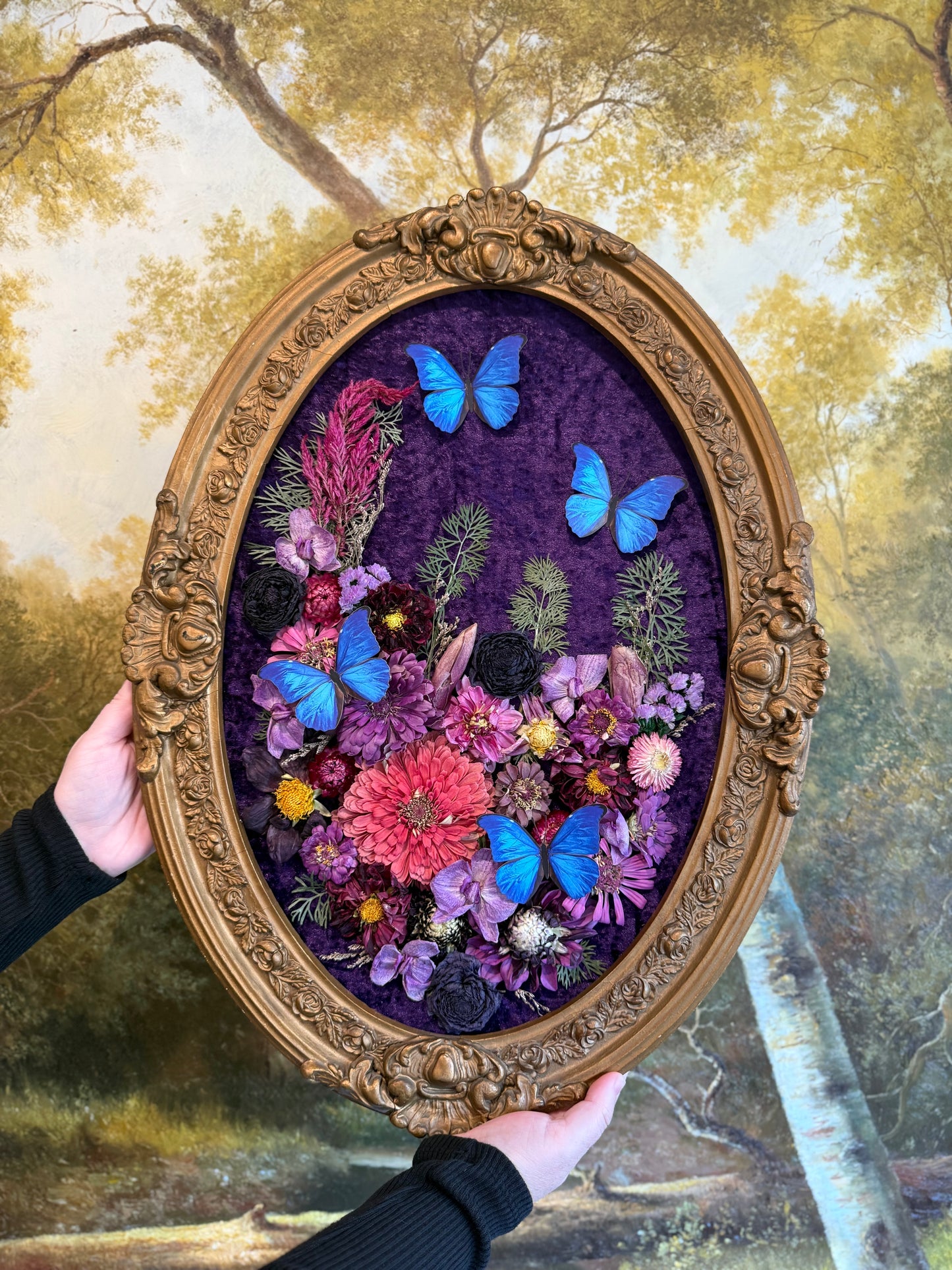 Song of the Azure Wings