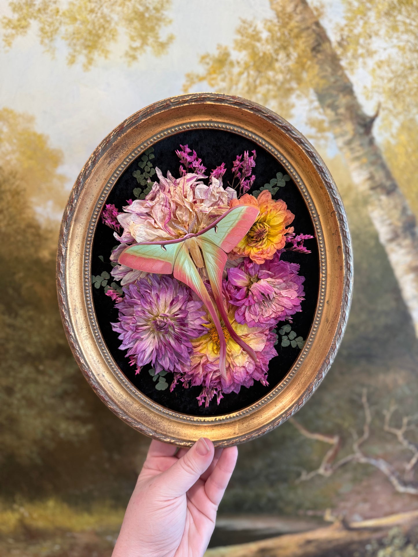 Ethereal Bloom of the Dhalia Moon