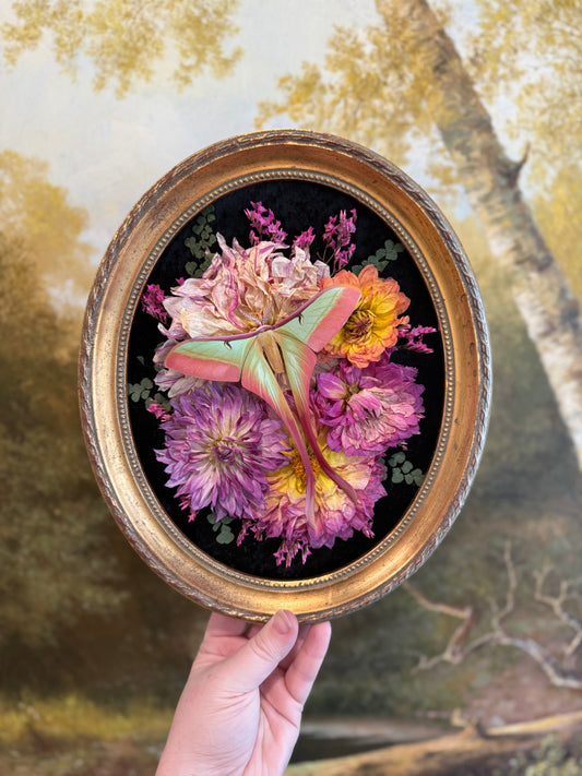 Ethereal Bloom of the Dhalia Moon